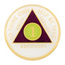 New Premium AA Yearly Purple Luxe Glitter Recovery Medallion