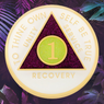 New Premium AA Yearly Purple Luxe Glitter Recovery Medallion