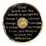 New Premium AA Yearly Blue & Black Regal Recovery Medallion