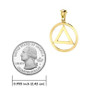 AA Symbol Solid 14k Gold Pendant