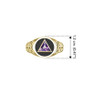 Celtic AA Recovery Symbol Solid Yellow Gold Ring with Gemstone