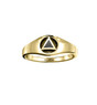 Triangle AA Recovery Symbol with Inlaid Stone Solid Yellow Gold Ring
