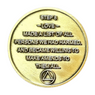 Bronze AA Recovery Step Coins – Individual or Full Set (Steps 1–12)