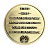 Bronze AA Recovery Step Coins – Individual or Full Set (Steps 1–12)