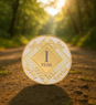 Custom White NA Recovery Coin – Choose Your Years or Months Clean Time Medallion