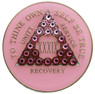 TRANSITION PINK CRYSTALLIZED MEDALLION