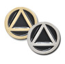AA Circle / Triangle 1/2" Lapel Pin