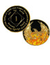 NA Out of Ashes Anniversary Coin Yrs 1-45