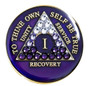 AA Bling Purple Transition Coin (Years 1-50)