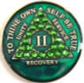 AA Recovery Crystallized Green Specialty Anniversary Medallion 1 - 65 yrs