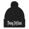 Doing It Clean Pom Pom Knit Beanie Cap