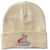 NASA Logo - Artemis Program Beanie
