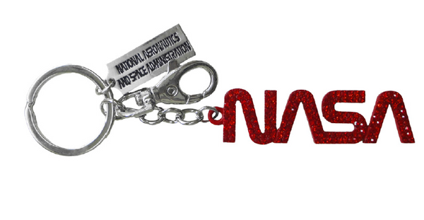 NASA Worm Logo - Glitter Keychain