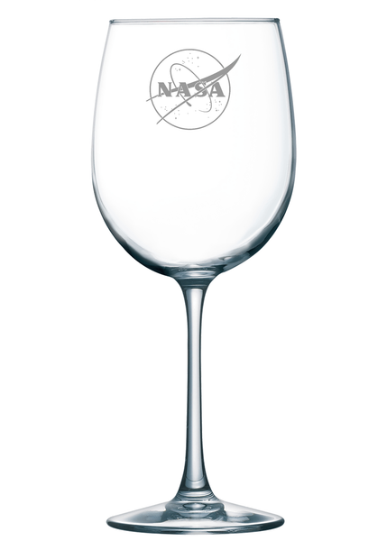 NASA Logo - Stem Glass 19 oz