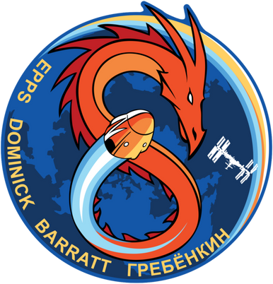 SpaceX_Crew-8_logo__06681.