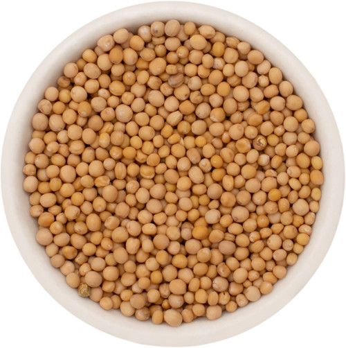 MUSTARD SEED, WHOLE YELLOW