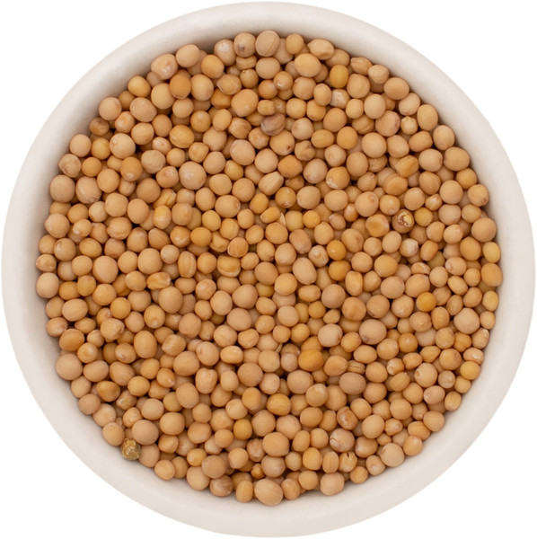MUSTARD SEED, WHOLE YELLOW