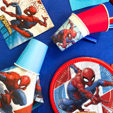 66 kit spiderman blu01 kitspd 1 22483 1