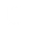 1st Phorm