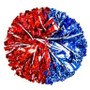 Specialty with 20% Specialty Glitter Poms - Adult