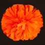 Black Light Neon Fluorescent Pom Balls Black Light Neon Fluorescent Pom Balls