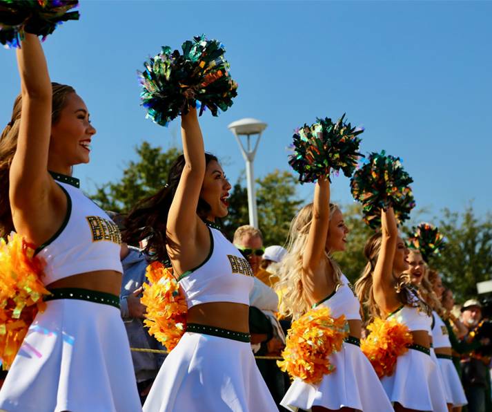 Cheerleader Pom Poms