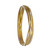 tomfoolery Titanium Bangle
