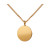 Cut Circle Pendant, Scherning, tomfoolery