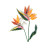 Bird of Paradise Flower Beaded Brooch, Trovelore, Tomfoolery London