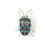 Picasso Bug Brooch, Trovelore, Tomfoolery London