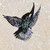 Starling Brooch