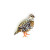 Fool Quail Brooch, Trovelore, Tomfoolery London