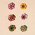 Medium Beaded Waterlily Ring, Ginie et Lolotte, tomfoolery