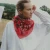 Cotton Scarf Bandana Red, Maison Lecomte Flament, tomfoolery