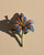 Casablanca Lily Brooch, Trovelore, Tomfoolery London