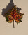 River Maple Leaf Brooch, Trovelore, Tomfoolery London 