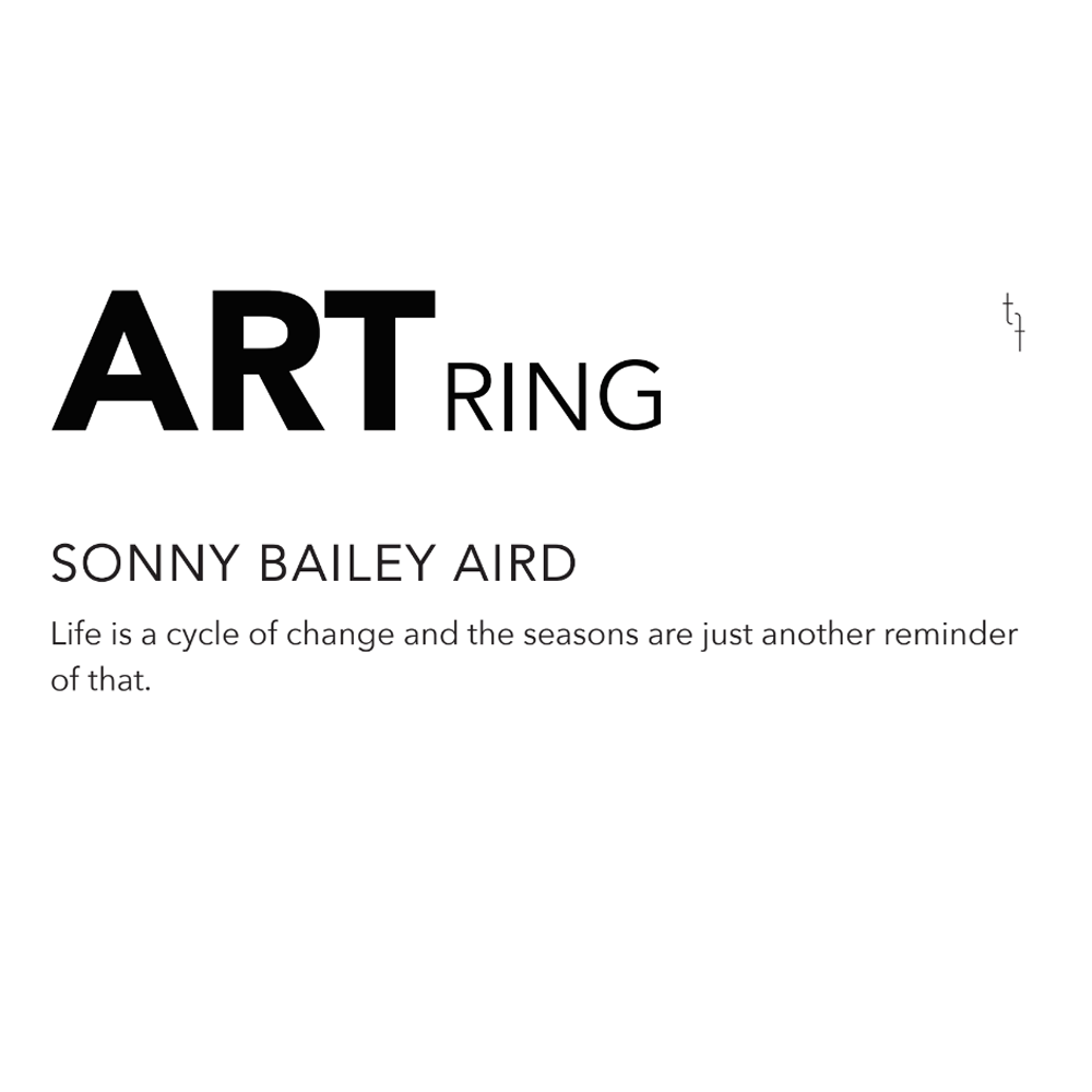 Seasons & Time Art Ring, Sonny Bailey-Aird, tomfoolery London, Art Ring 2023 exhibition