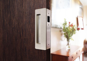 CS CaviLock CL400 Magnetic Passage Pocket Door Handle