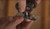CS Cavity Sliders Carriage Pack