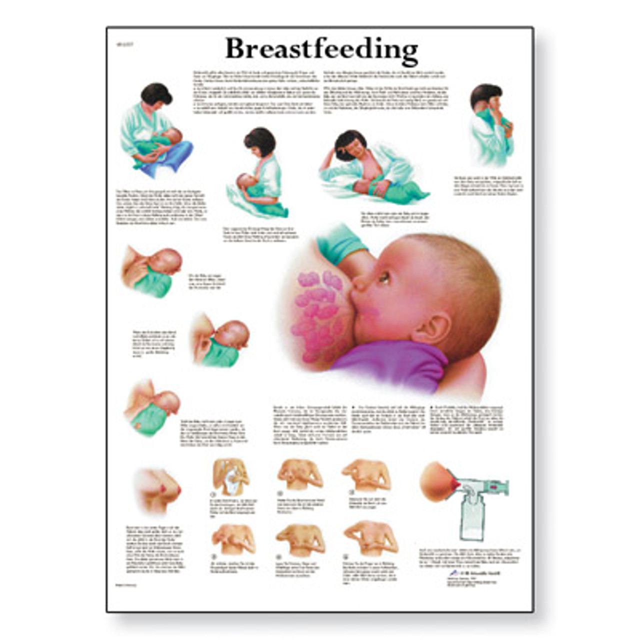 Breastfeeding Laminated Chart 1001578 Breast Feeding Poster 3b Scientific 0616