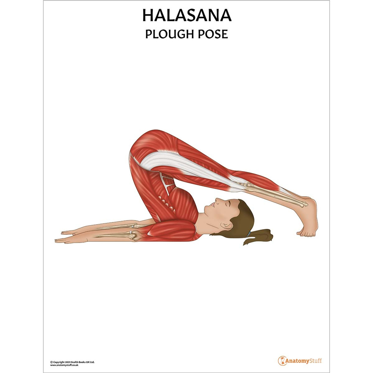 Beautiful Woman Practices Inversion Yoga Asana Halasana - Plow Pose in the  Yoga Studio Stock Photo - Image of beautiful, halasana: 101779378