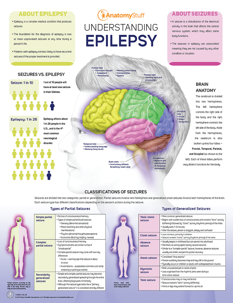 Understanding Epilepsy Chart Poster Laminated Seizures 8352