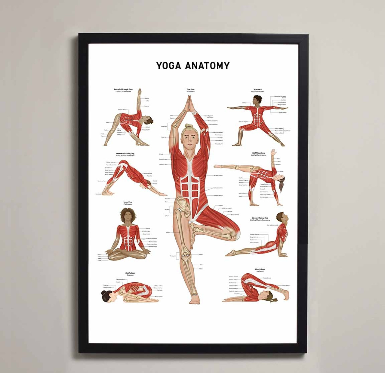 Yoga Anatomy Seamless Pattern Graphic by mstmahfuzakhatunshilpe · Creative  Fabrica