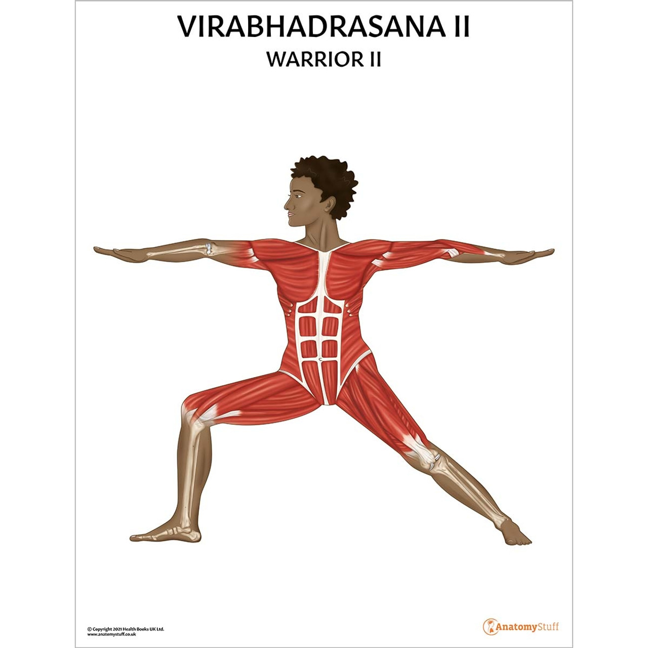 Warrior II Pose Yoga Chart  Virabhadrasana II Exercise Poster