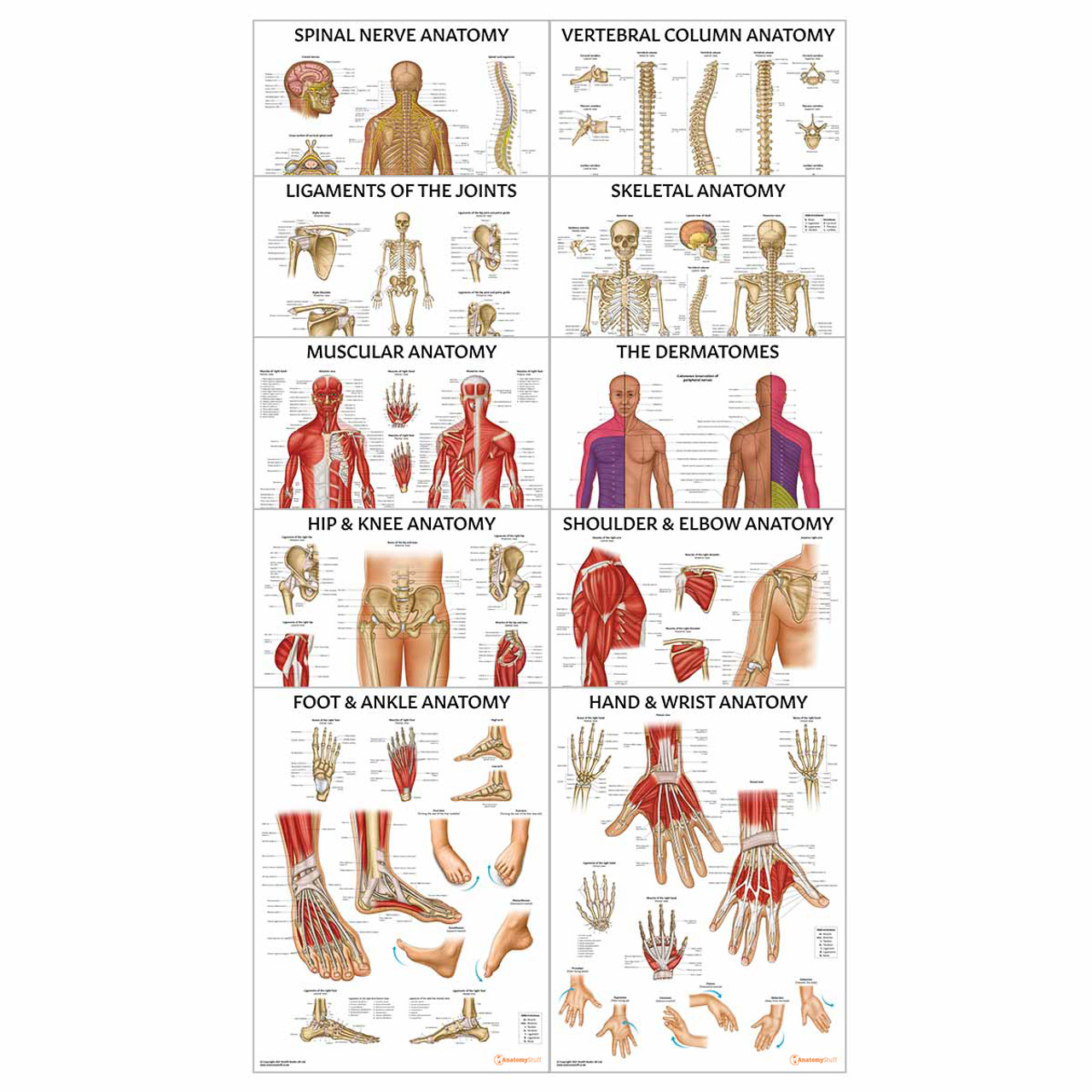 Physiotherapy Posters Collection