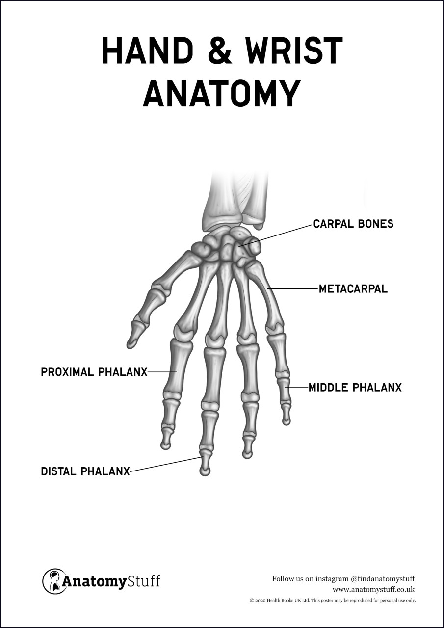 Drawing Hands Practice - Drawing.rjuuc.edu.np