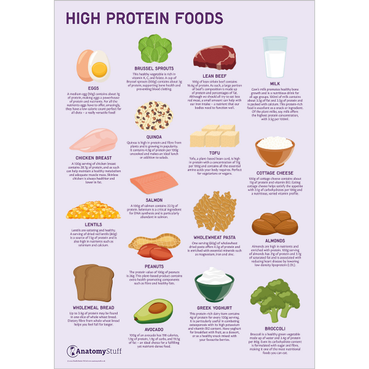 Protein Foods List