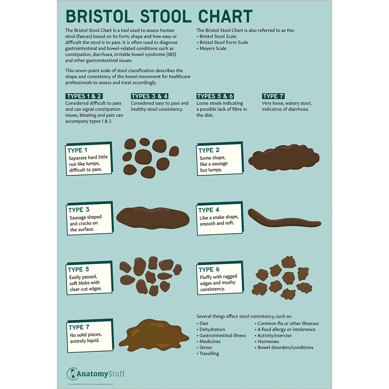 Bristol Stool Chart for identifying bowel movement consistency | Poster