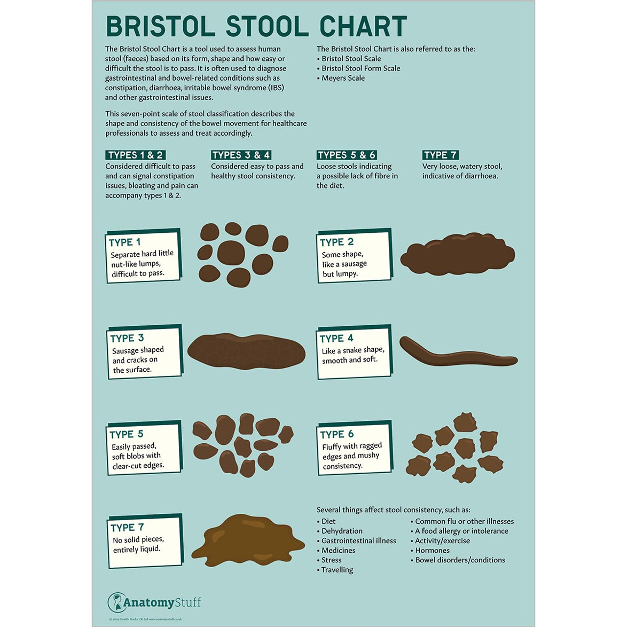 Bristol Stool Chart Laminated Poster Of Bristol Stool Chart AntomyStuff