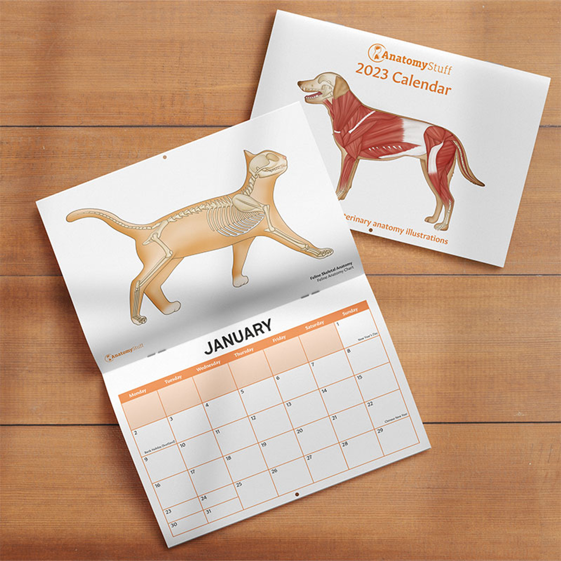 Veterinary Calendar 2023 | Animal Anatomy Calendar | AnatomyStuff